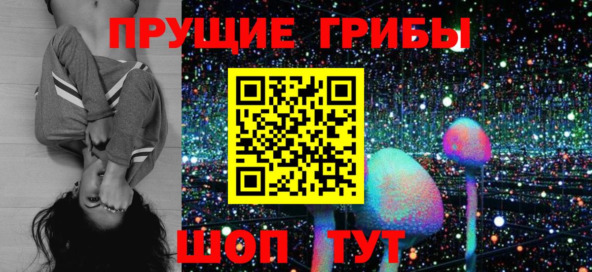 Псилоцибиновые грибы MAGIC MUSHROOMS  Вход с VPN  Долгопрудный  Псилоцибиновые грибы GOLDEN TEACHER 