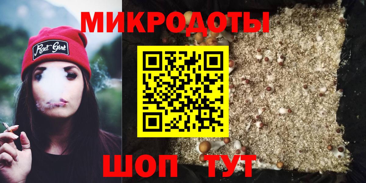 Псилоцибиновые грибы Psilocybe Долгопрудный