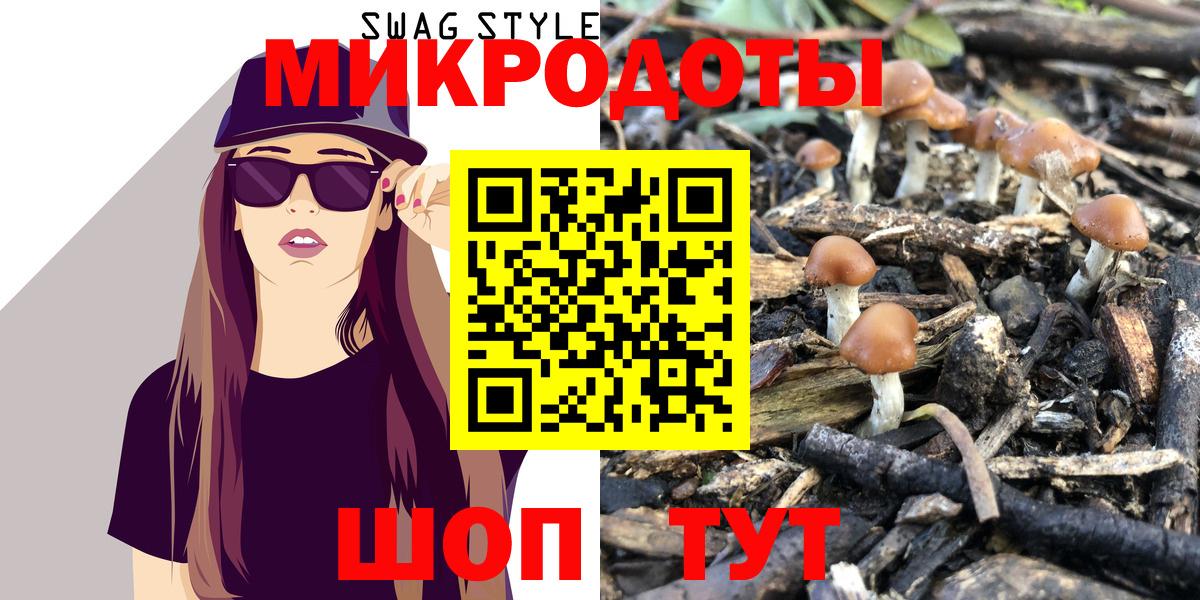 МЕФ Долгопрудный